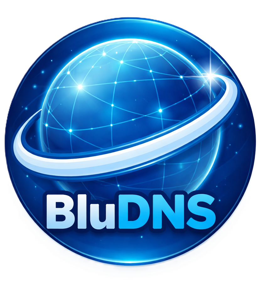 BluDNS